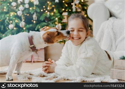Lovely puppy licks chillds face have fun together pose on floor in cozy room against decorated fir tree, present boxes. Happy New Year concept. Beginning of winter holidays. Christmas preparation