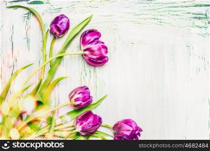 Lovely purple tulips bunch on white wooden background, spring flowers concept, floral border
