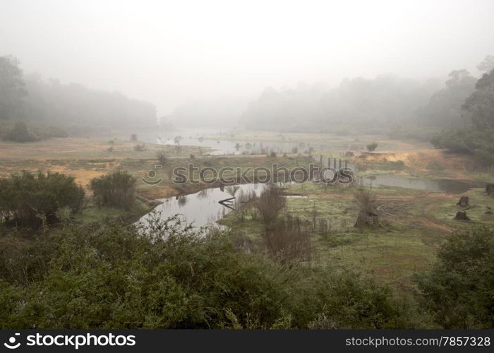 Lovely scene by the side of the road during a foggy morning in Western Australia