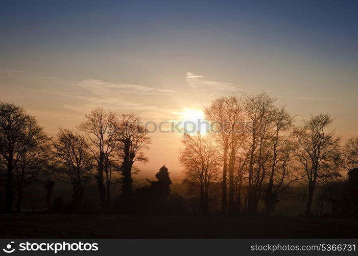 Lovely silhouette of tree line against vibrant Autumn