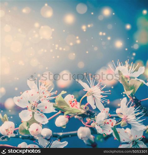 Lovely spring or summer blooming with bokeh and sun flare, floral border, pastel color