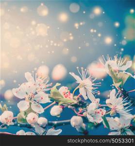 Lovely spring or summer blooming with bokeh and sun flare, floral border, pastel color