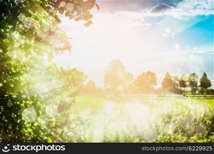 Lovely summer nature background with trees foliage , sky, field and sun rays. Summer Country landscape
