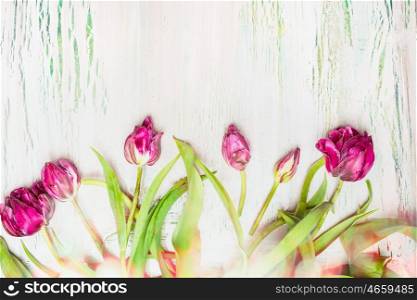 Lovely tulips with bokeh on shabby chic background, top view, floral border