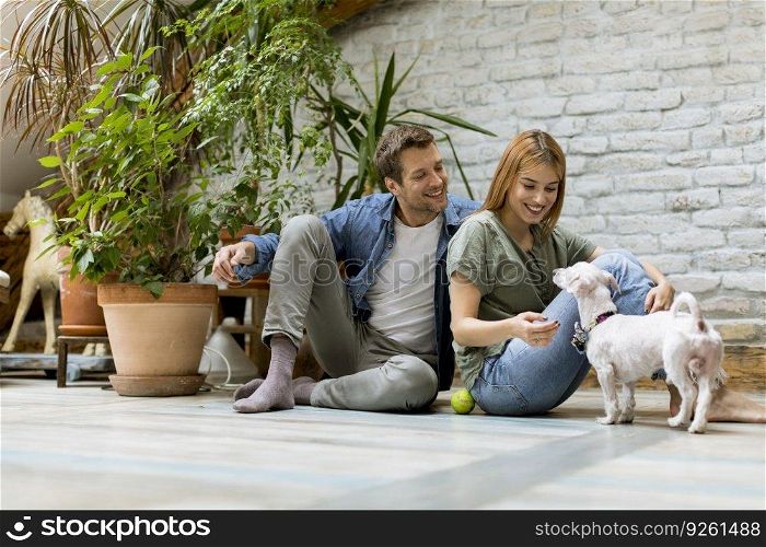 Lovely young couple sitting at rustic living room floor and playing with cute white dog