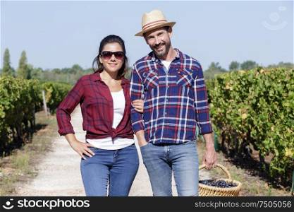 lovely young couple with grape basket in the vineyard
