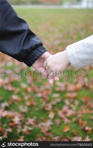 Lovers couple holding hands in a park