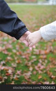 Lovers couple holding hands in a park