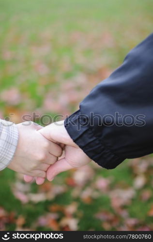 Lovers couple holding hands in a park