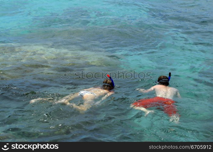 Lovers snorkel in the pristine waters of Koh Tao, tranquil, tranquility, tropical, paradise, pristine, tropical, heaven, delight, joy, haven, retreat, sanctuary, oasis, Thailand.