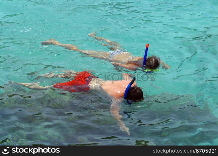 Lovers snorkel in the pristine waters of Koh Tao, tranquil, tranquility, tropical, paradise, pristine, tropical, heaven, delight, joy, haven, retreat, sanctuary, oasis, Thailand.