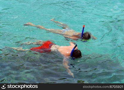 Lovers snorkel in the pristine waters of Koh Tao, tranquil, tranquility, tropical, paradise, pristine, tropical, heaven, delight, joy, haven, retreat, sanctuary, oasis, Thailand.