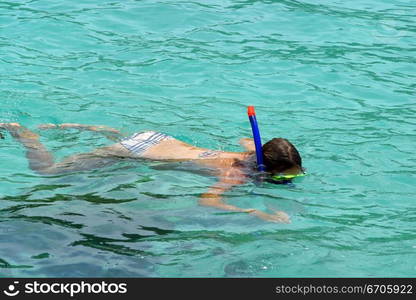 Lovers snorkel in the pristine waters of Koh Tao, tranquil, tranquility, tropical, paradise, pristine, tropical, heaven, delight, joy, haven, retreat, sanctuary, oasis, Thailand.