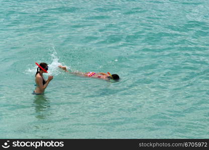 Lovers snorkel in the pristine waters of Koh Tao, tranquil, tranquility, tropical, paradise, pristine, tropical, heaven, delight, joy, haven, retreat, sanctuary, oasis, Thailand.