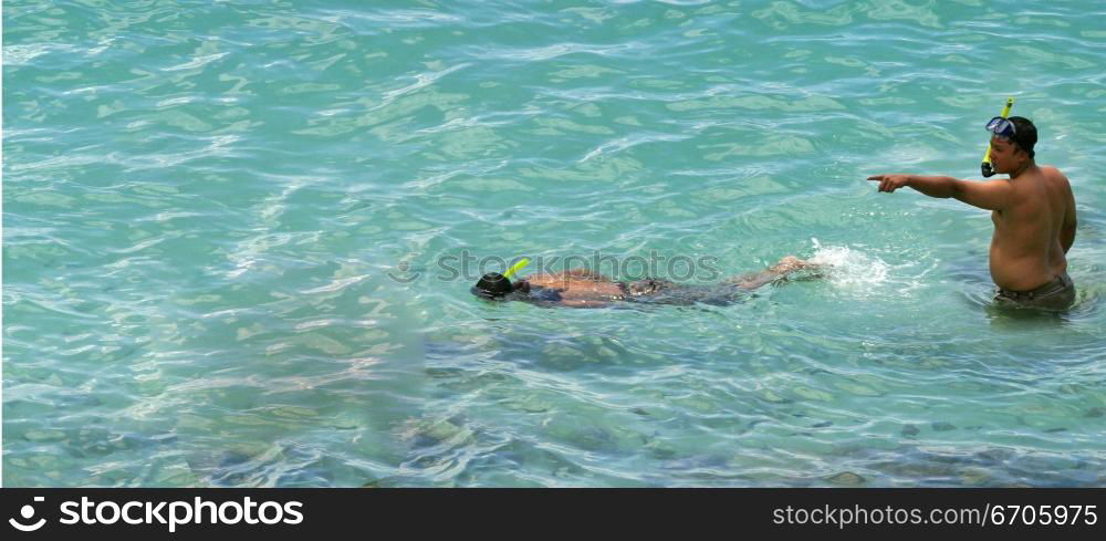 Lovers snorkel in the pristine waters of Koh Tao, tranquil, tranquility, tropical, paradise, pristine, tropical, heaven, delight, joy, haven, retreat, sanctuary, oasis, Thailand.