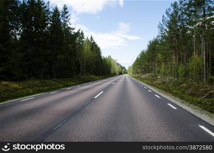 Low angle image of a straight road in the woodlands
