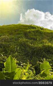 Low angle of a hill with clouds and blue sky, Hill with blue sky and copy space