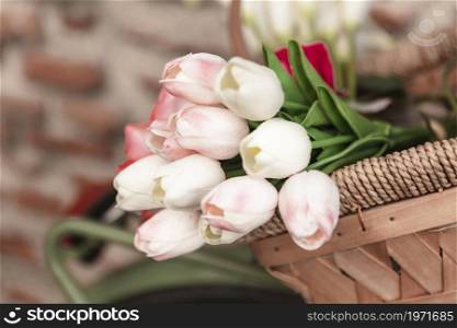 low angle spring tulips basket. High resolution photo. low angle spring tulips basket. High quality photo
