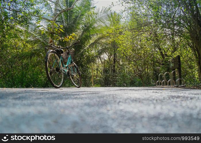 Low angle view of a bike parking on an empty road surrounded by lush green foliage in tropical forest in summer.