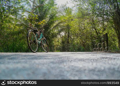 Low angle view of a bike parking on an empty road surrounded by lush green foliage in tropical forest in summer.