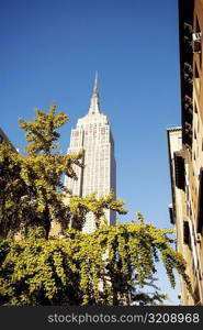 Low angle view of a building, Empire State Building, Manhattan, New York City, New York State, USA