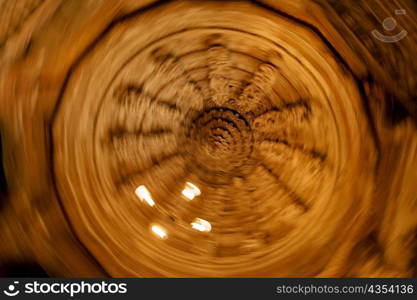 Low angle view of a carved ceiling of a temple, Jain Temple, Jaisalmer, Rajasthan, India