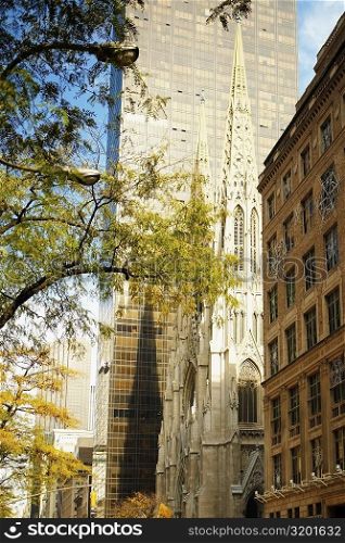 Low angle view of a church, St. Patrick&acute;s Cathedral, Manhattan, New York City, New York State, USA