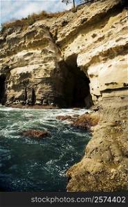 Low angle view of a cliff, La Jolla Reefs, San Diego Bay, California, USA