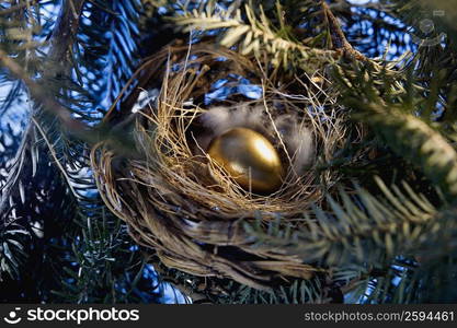 Low angle view of a golden egg in a nest