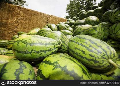 Low angle view of a heap of watermelons, Zhigou, Shandong Province, China