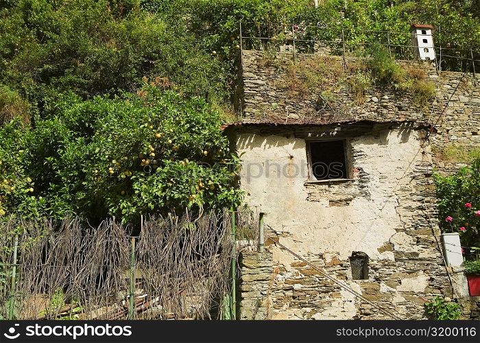 Low angle view of a house, Vernazza, La Spezia, Liguria, Italy