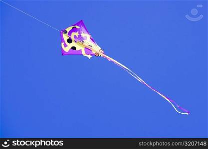 Low angle view of a kite in the sky, Miami, Florida, USA