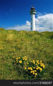 Low angle view of a lighthouse, Egmond, Netherlands