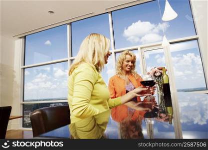Low angle view of a mature woman and a mid adult woman toasting glasses of wine