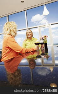 Low angle view of a mature woman and a mid adult woman holding glasses of wine