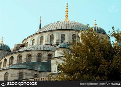 Low angle view of a mosque, Blue Mosque, Istanbul, Turkey