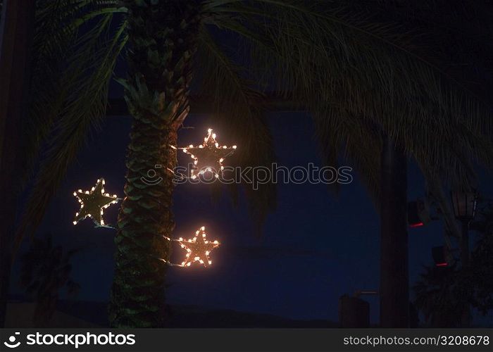 Low angle view of a palm tree lit up at dusk