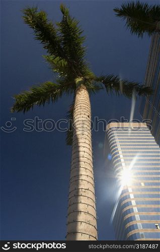 Low angle view of a skyscraper, Miami, Florida, USA