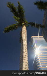 Low angle view of a skyscraper, Miami, Florida, USA