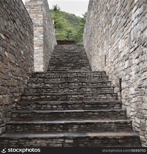 Low angle view of a staircase, Paro Valley, Paro District, Bhutan