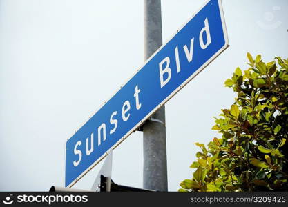 Low angle view of a Sunset Boulevard Sign, Los Angeles, California, USA