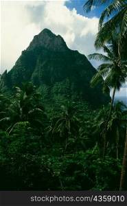 Low angle view of an ancient dormant volcano, Grand Piton, St. Lucia