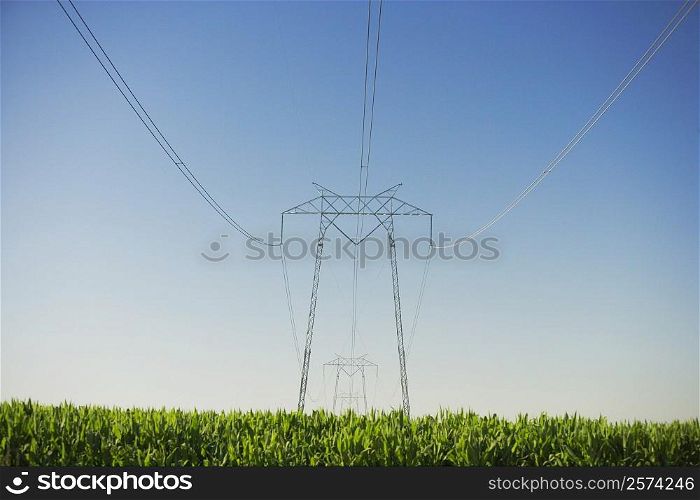 Low angle view of an electricity pylon in a farm