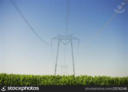 Low angle view of an electricity pylon in a farm
