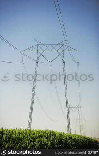 Low angle view of an electricity pylon in a farm