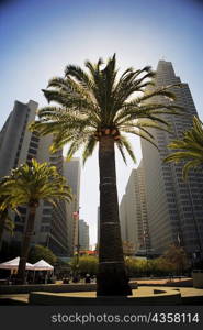 Low angle view of an office building in a city, San Francisco, California, USA