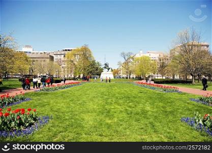Low angle view of Andrew Jackson Statue, Lafayette Park, Washington DC, USA