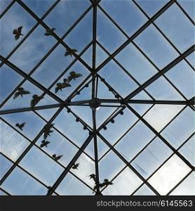 Low angle view of birds viewed through glass ceiling, Southern Methodist University, Dallas, Texas, USA