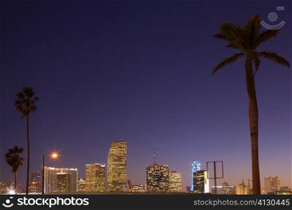 Low angle view of buildings in a city lit up at dusk, Miami, Florida, USA