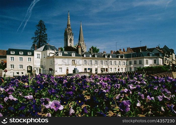 Low angle view of Chartres skyline, France